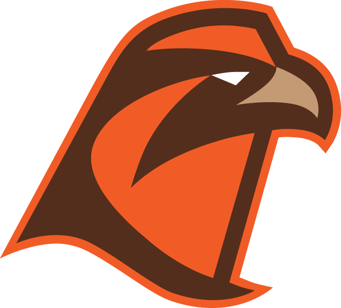 Bowling Green Falcons 2006-Pres Alternate Logo v7 iron on transfers for T-shirts